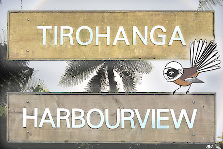 Predator Free Tirohanga and Harbourview