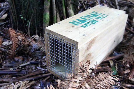 Naenae Nature Trust