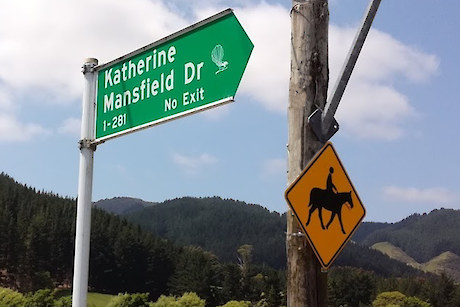 Pest Free Katherine Mansfield Valley