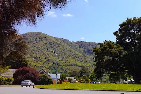 Pest Free Totara Park