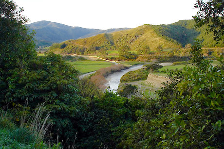 Pest Free Kaitoke