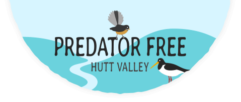 Predator Free Hutt Valley